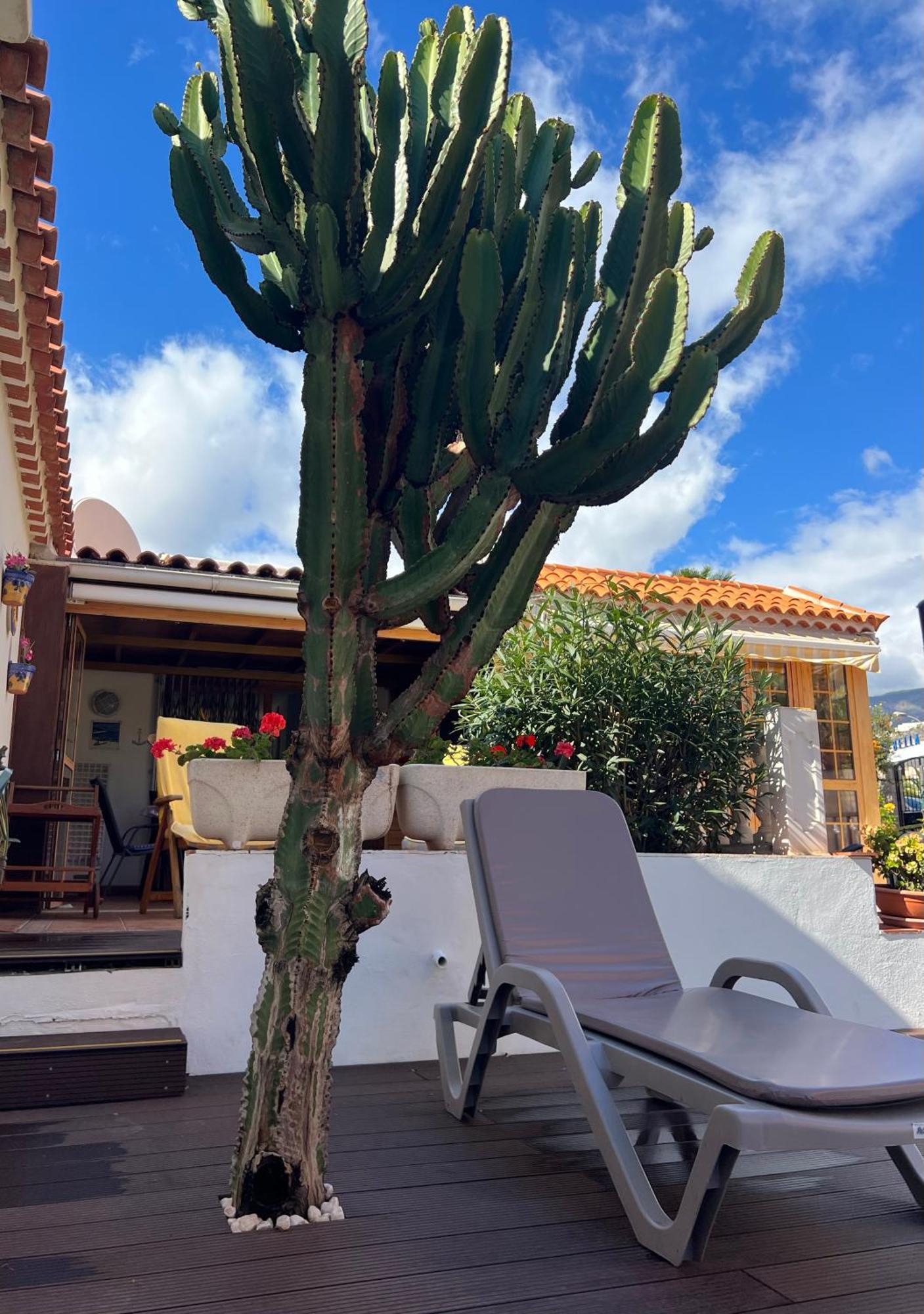 Apartamento Casa del Mar Costa Adeje  Exterior foto